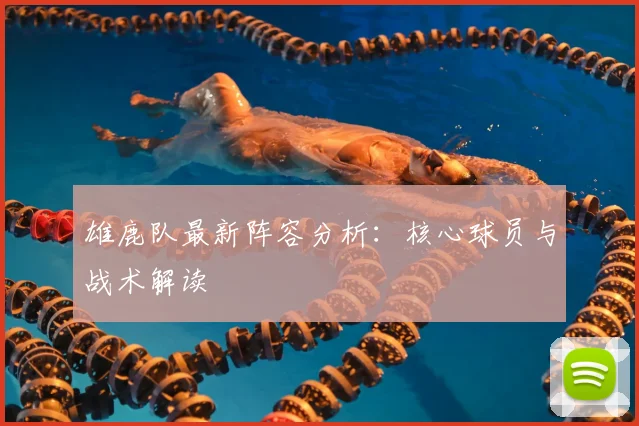 雄鹿队最新阵容分析:核心球员与战术解读