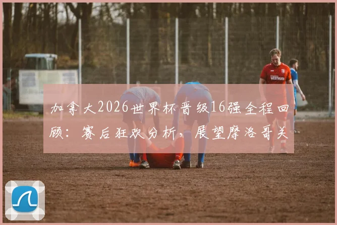 加拿大2026世界杯晋级16强全程回顾:赛后狂欢分析,展望摩洛哥关键战